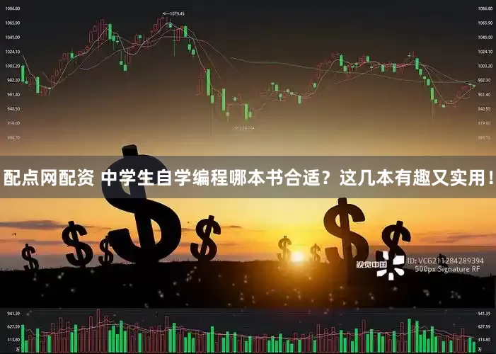 配点网配资 中学生自学编程哪本书合适？这几本有趣又实用！